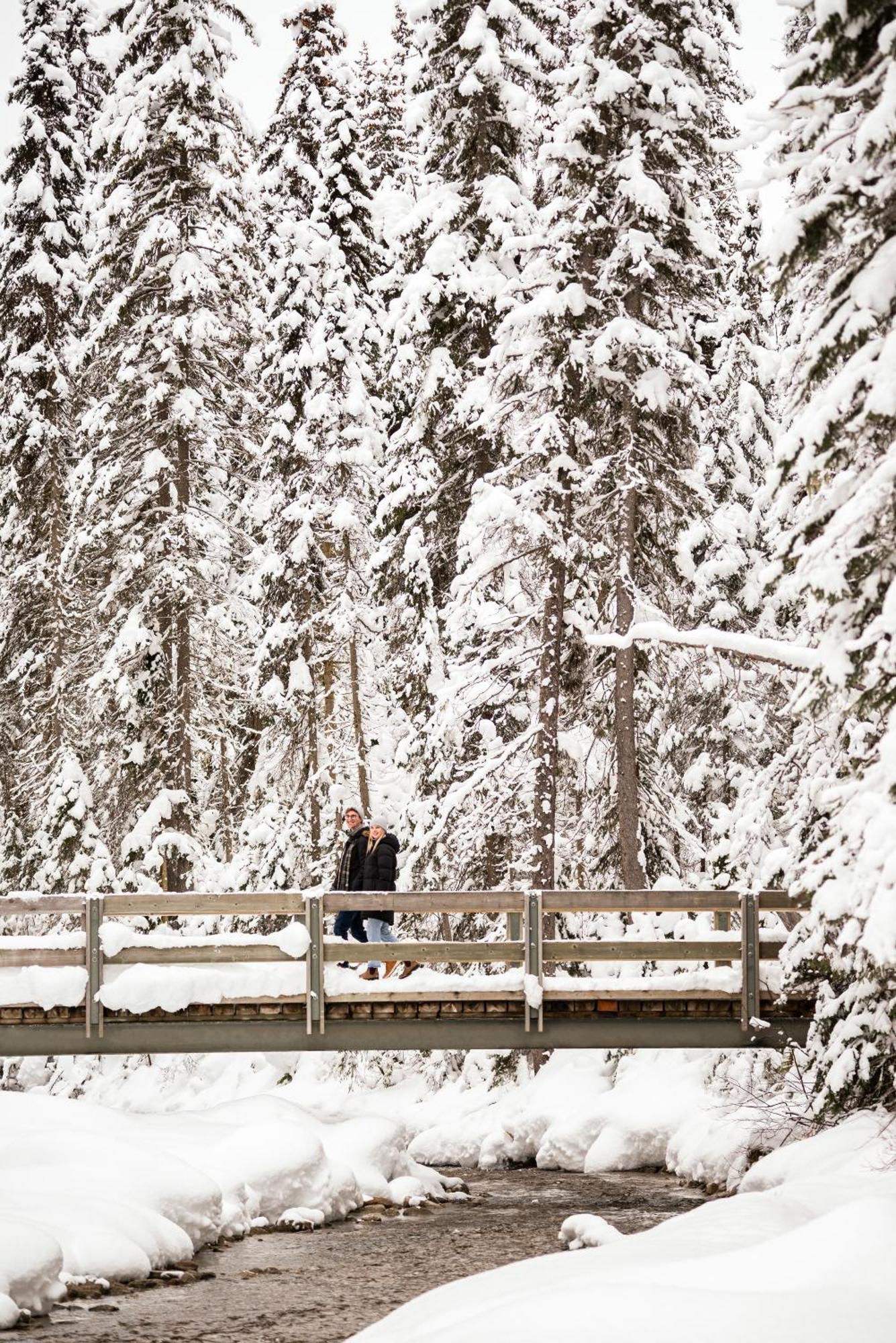 Emerald Lake Lodge Филд Екстериор снимка