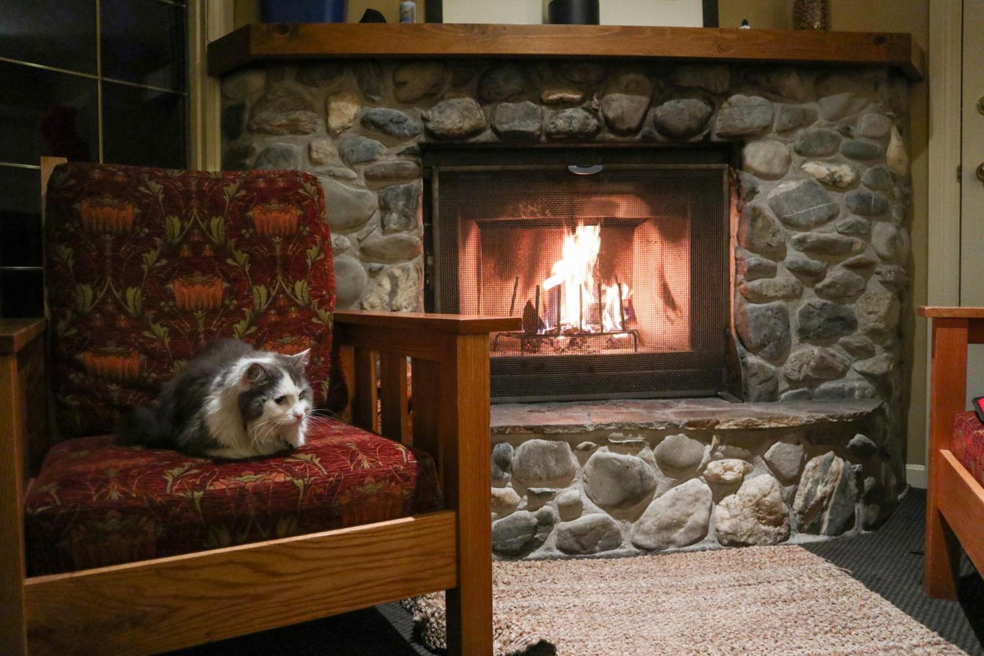 Emerald Lake Lodge Филд Екстериор снимка