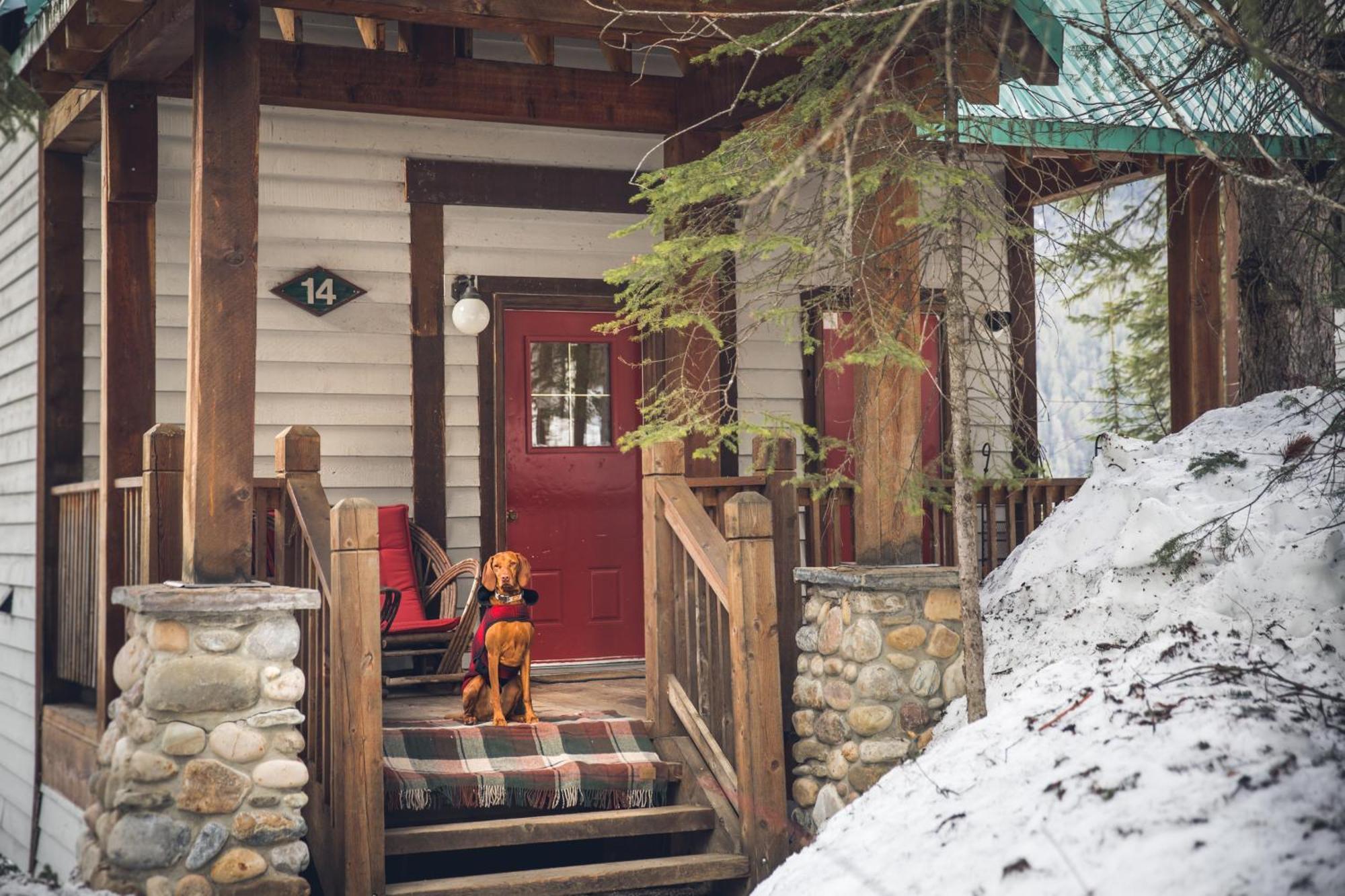 Emerald Lake Lodge Филд Екстериор снимка