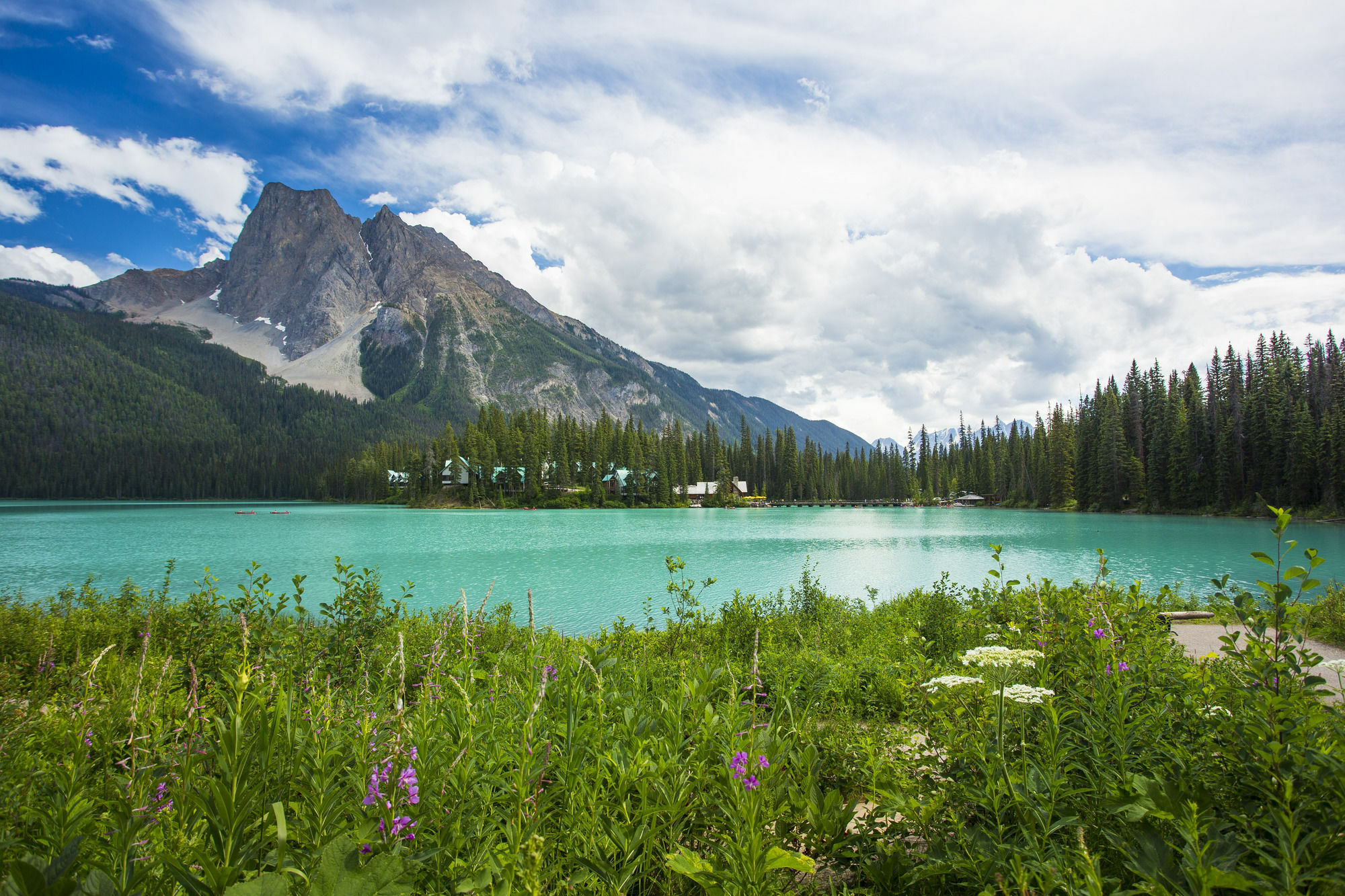 Emerald Lake Lodge Филд Екстериор снимка